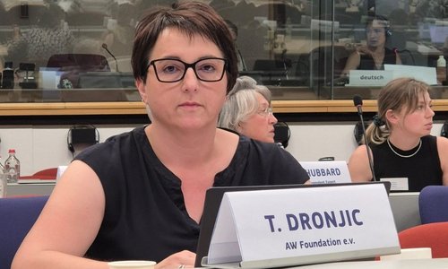 Tea Dronjić