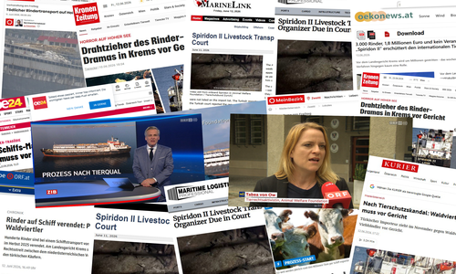 Zahlreiche Medien, vor allem in Österreich aber auch international, haben über die Verhandlung berichtet. Wir waren vor Ort und haben den Journalisten über die Problematik von Lebendtiertransporten per Schiff Auskunft gegeben.
